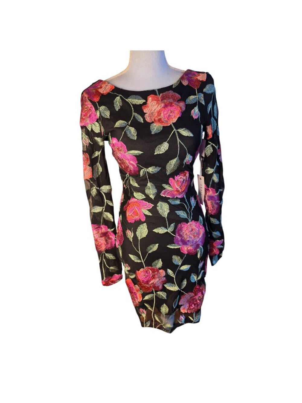 Siena Floral Embroidered Mesh Bodycon Mini Dress Long Sleeve Whimsigoth Sz 4 NWT